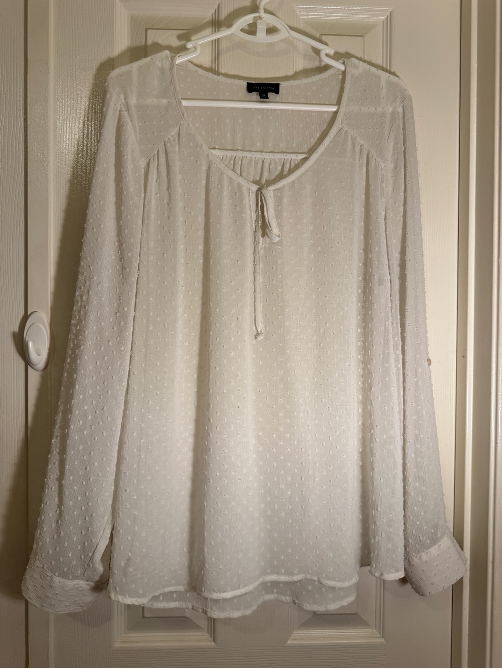 The Limited Brand Lightweight Sheer Off-White Swiss Dot Peasant Blouse - Women